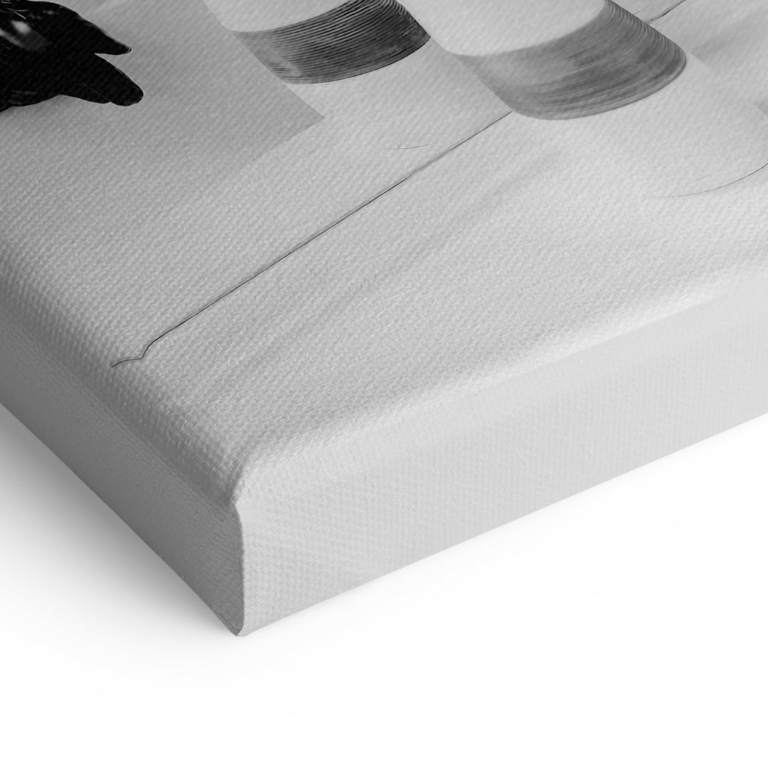 Dart Vader Daily Routine