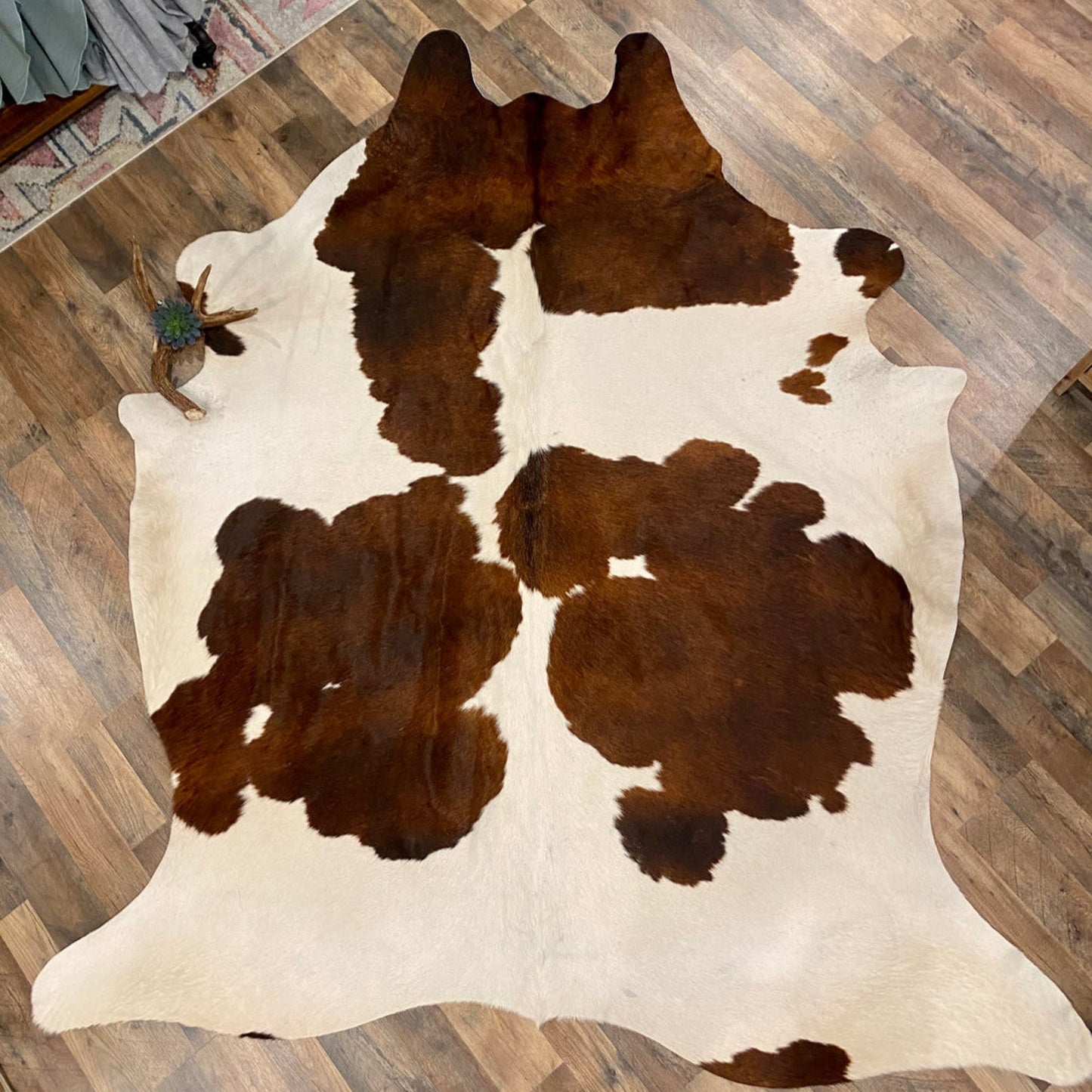 Chocolate and white cowhide rug